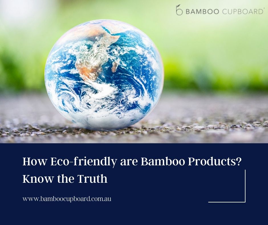 How Eco-friendly are Bamboo Products